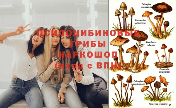 метадон Осташков